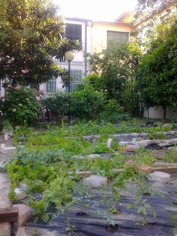 مارينا دي كارّارا Eco B&B I Due Oleandri المظهر الخارجي الصورة